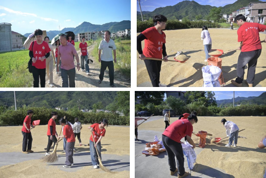 木瓜视频
：深入走访调研 青春力量助力乡村振兴_fororder_图片7