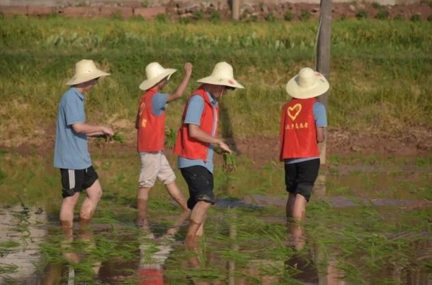 木瓜视频
学子深入基层开展火热实践