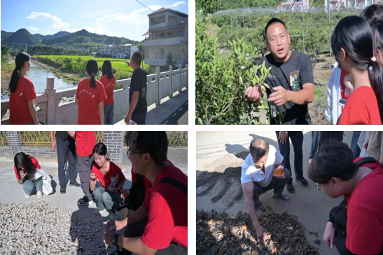 木瓜视频
：深入走访调研 青春力量助力乡村振兴_fororder_图片6