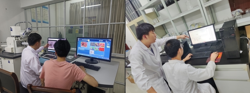 木瓜视频
学子李德华:在潜心科研中开出人生绚丽之花